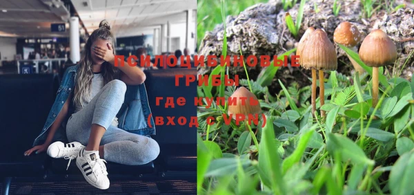 ECSTASY Нязепетровск
