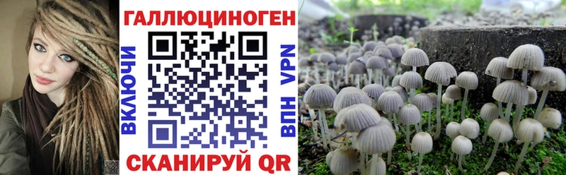 KRAKEN ССЫЛКА хочу наркоту Алупка Галлюциногенные грибы ЛСД